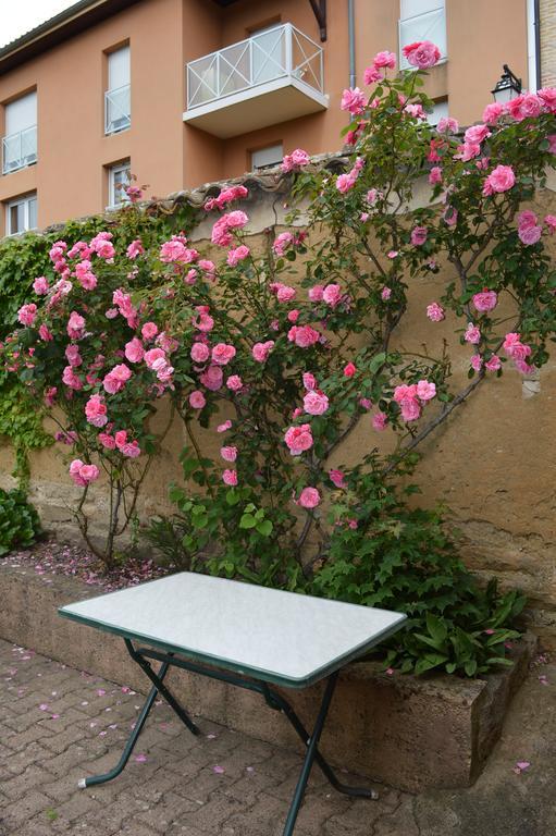 Cote Midi Chambre D'Hote Chaneins Экстерьер фото